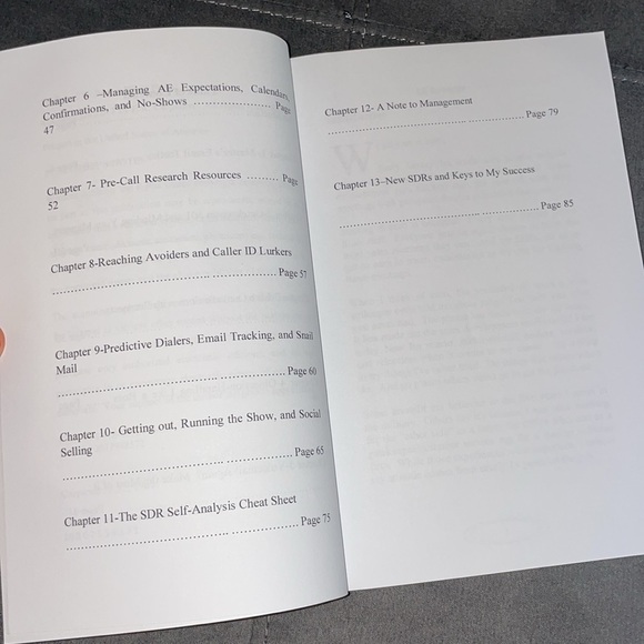 Brain Dump: 167 Tips & Tricks from a Six-Figure Sales Prospecting Legend | Book - Picture 4 of 7